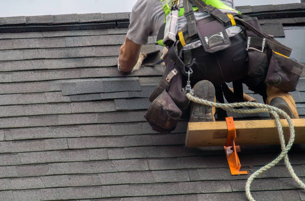 Roof Insulation Installation in Alliance, NE